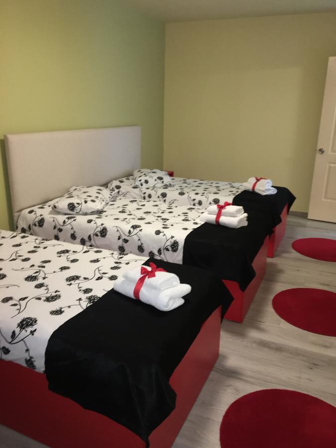 Vila Nicole Hotell Haţeg Exteriör bild