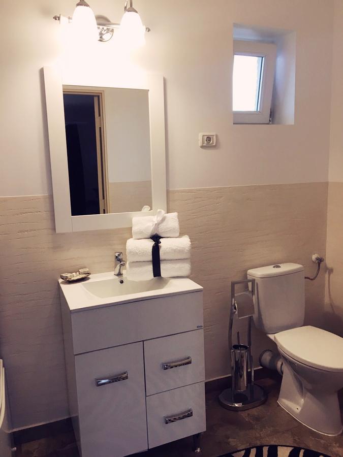 Vila Nicole Hotell Haţeg Exteriör bild